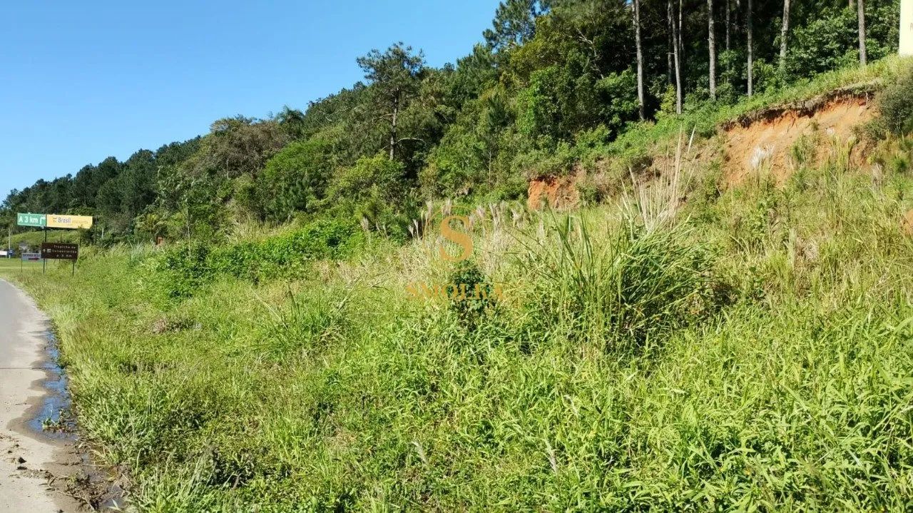 Terreno comercial e residencial na SC 401 - Foto 4