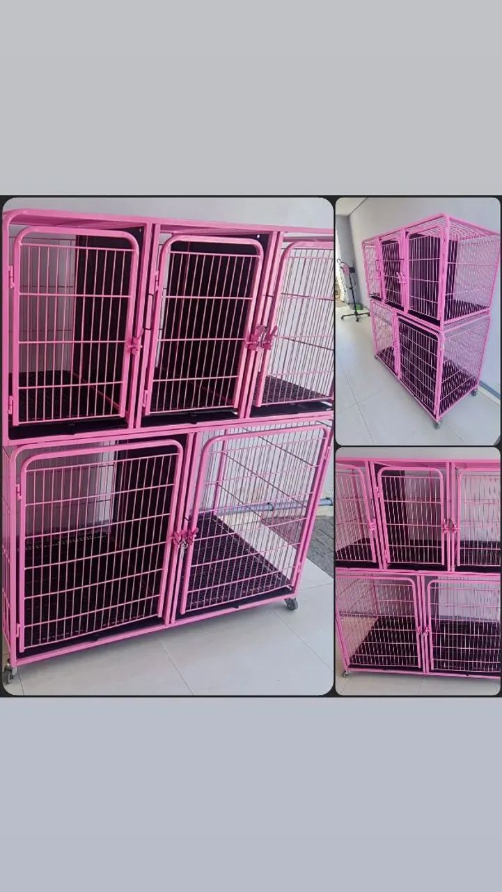 Banho e Tosa kit completo - Foto 2