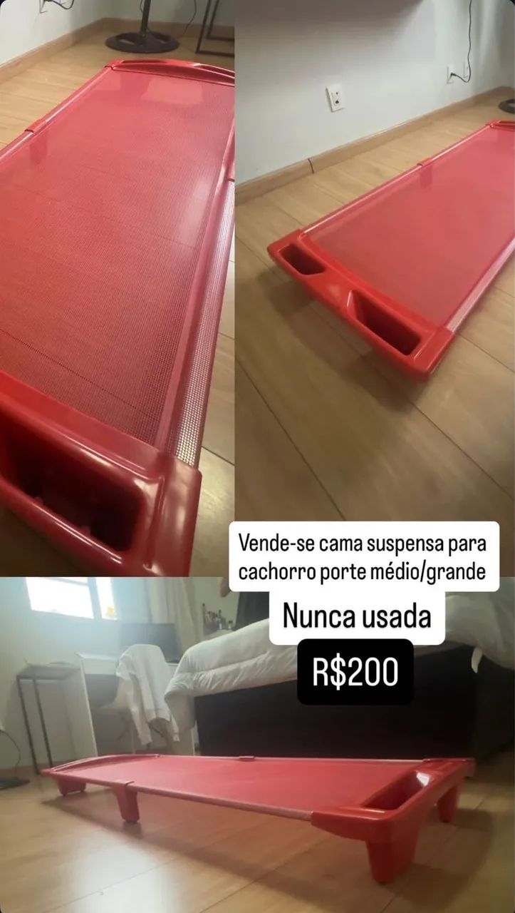 Caminha  - Foto 4