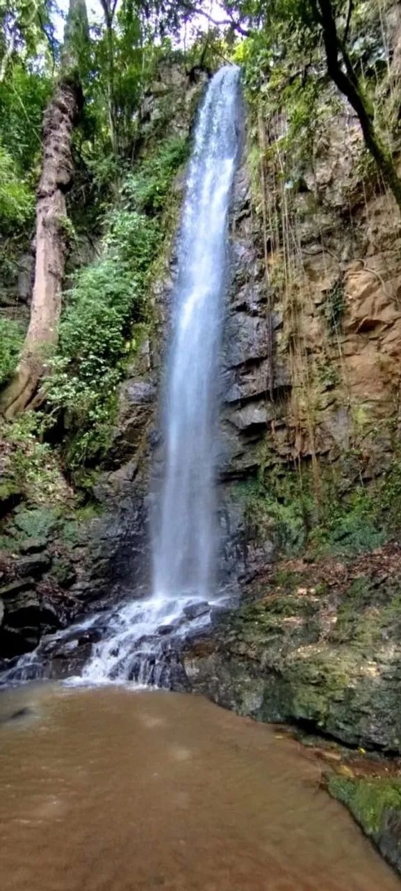 FAZENDA COM CACHOEIRA EXUBERANTE EM ITAGUARA  - Foto 2