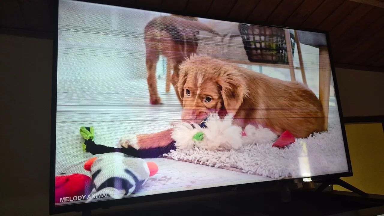TV 50" JVC - Foto 2