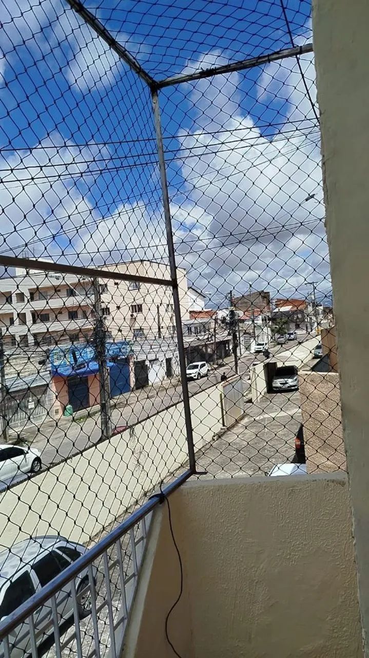 Proteção para pets  - Foto 3