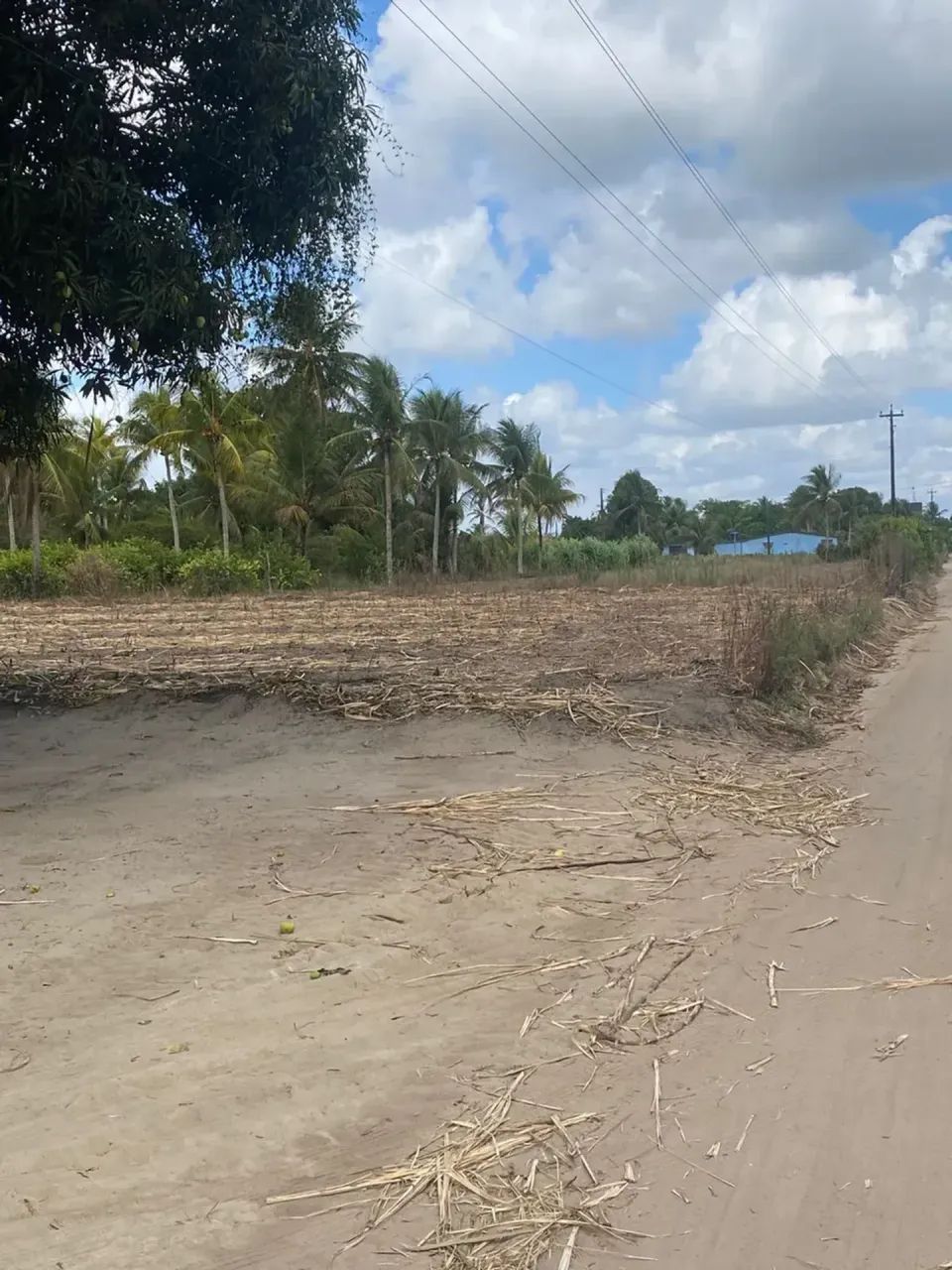 Excelente terreno Rural no Engenho Pitanga, em Igarassu, 4,5ha (123m X 366m) - Foto 10