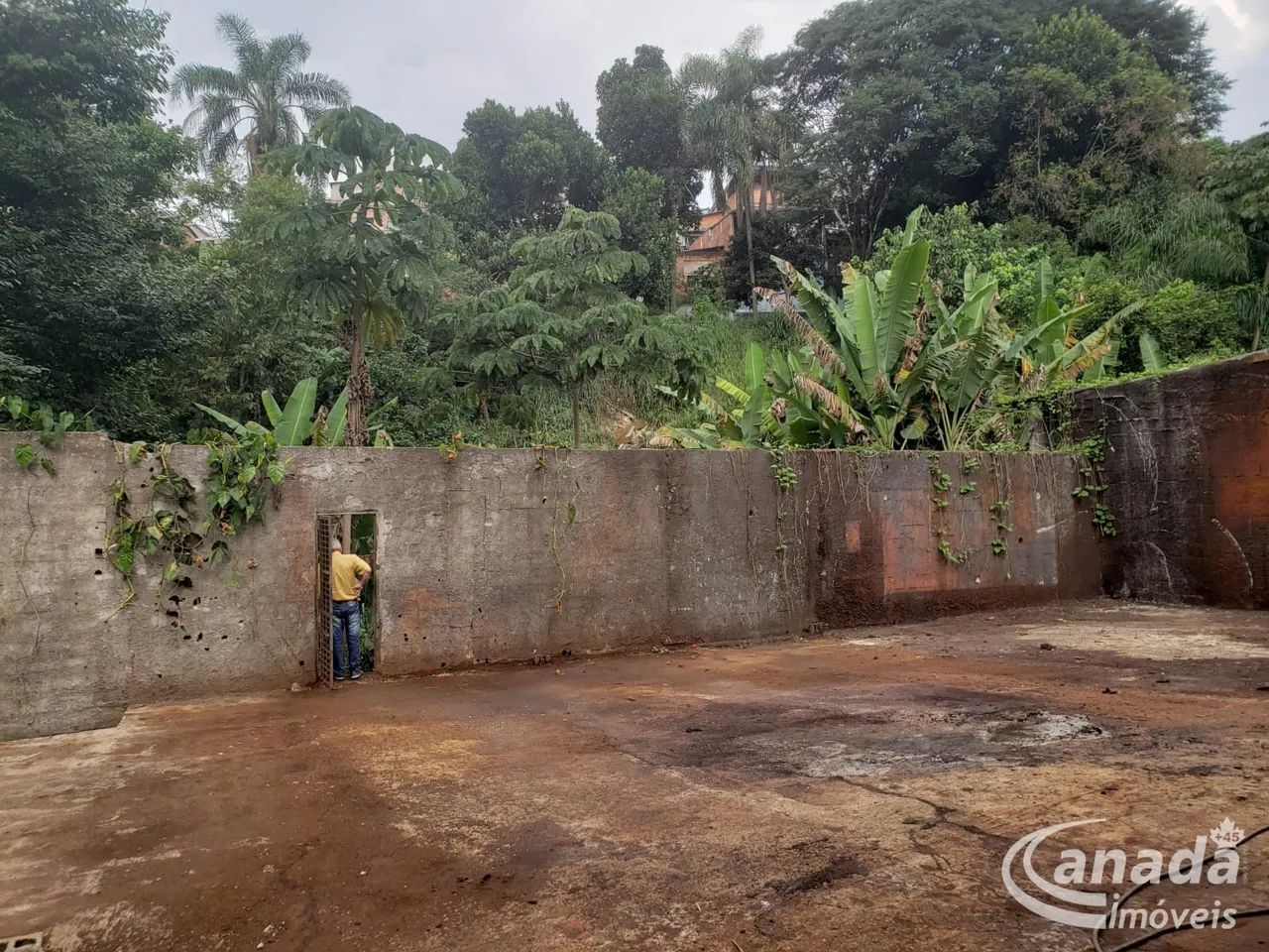 Comercial - Jardim Santa Lucrecia - Foto 2