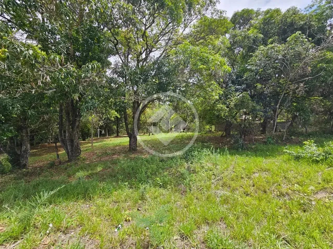 Lote Comercial Residencial Riviera codigo: 272046 - Foto 2