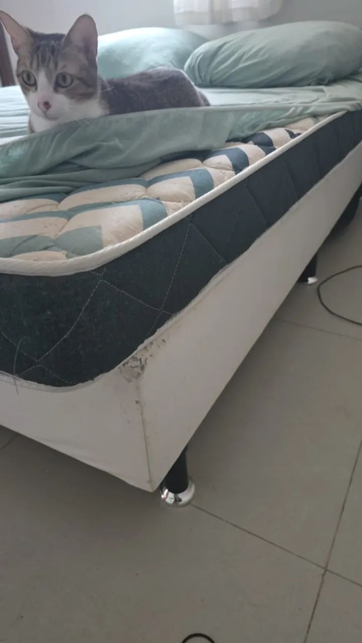 Cama Ortobom - Foto 3