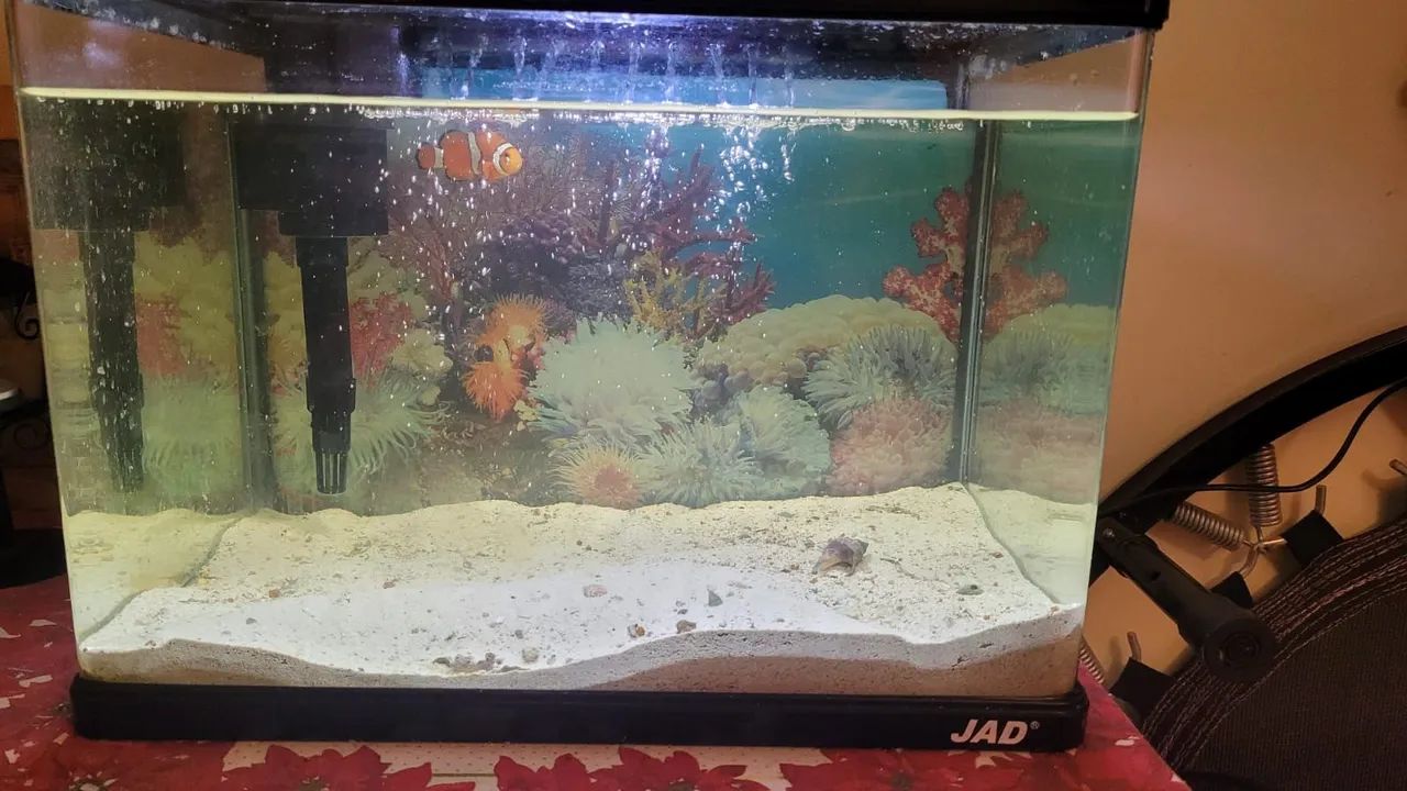 Aquario completo com produtos