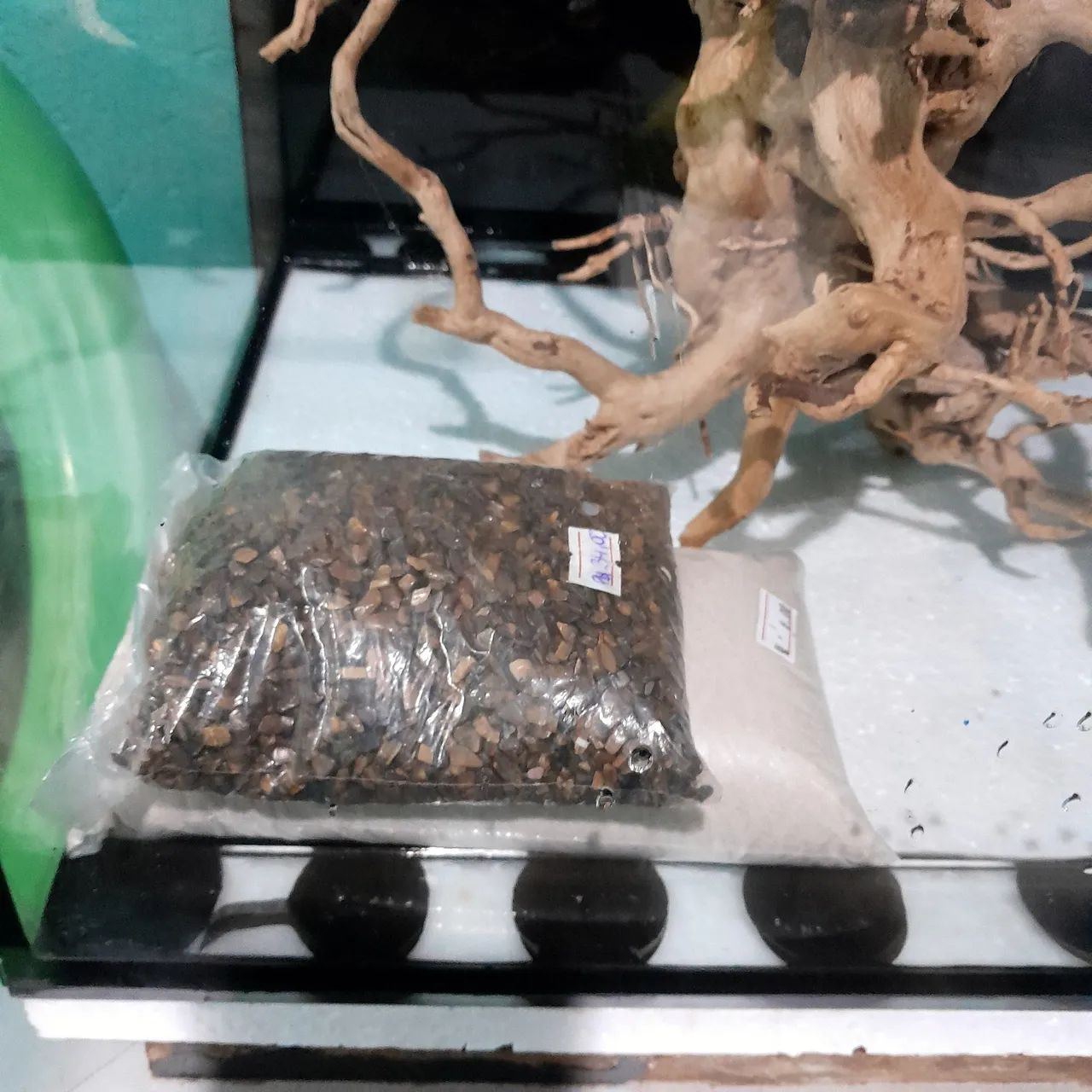 Aquário plantado  - Foto 4