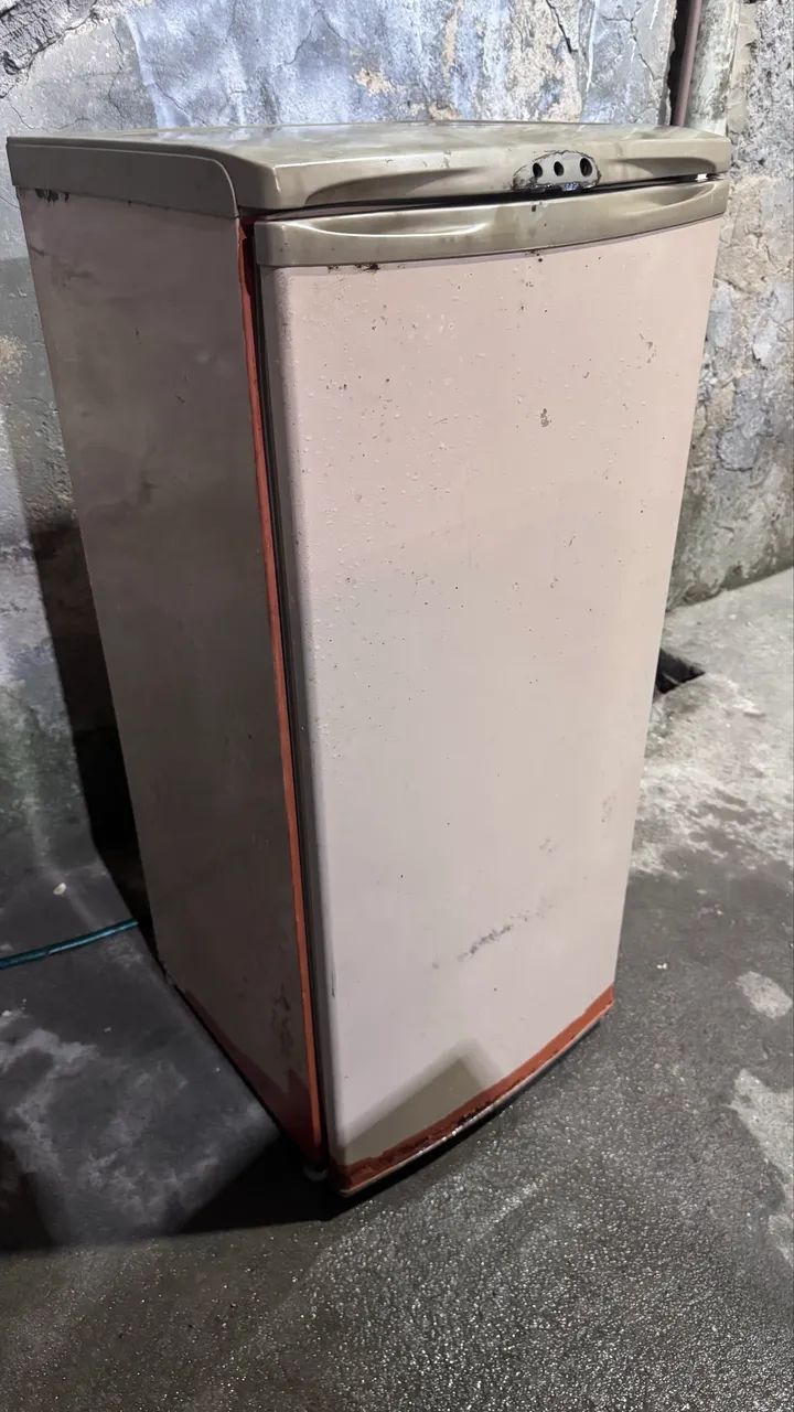 Vendo frezer vertical 