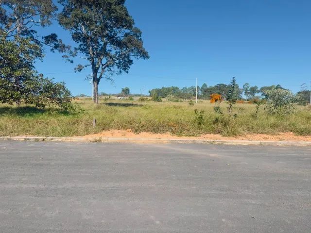 Lote - Foto 4