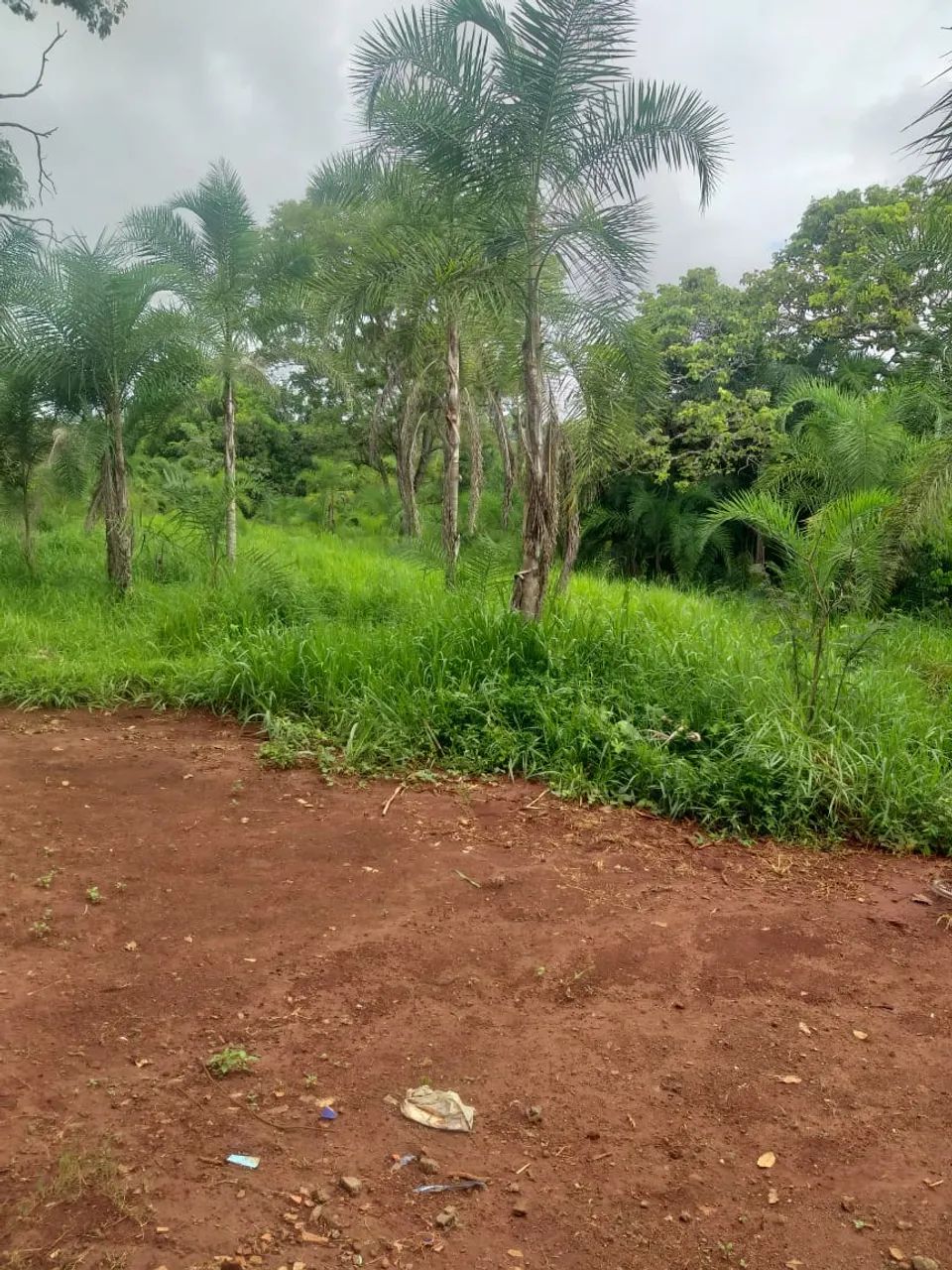 ?? CHÁCARA COMPLETA EM BOM FINÓPOLIS  GOIÁS | OPORTUNIDADE IMPERDÍVEL! ?? - Foto 4