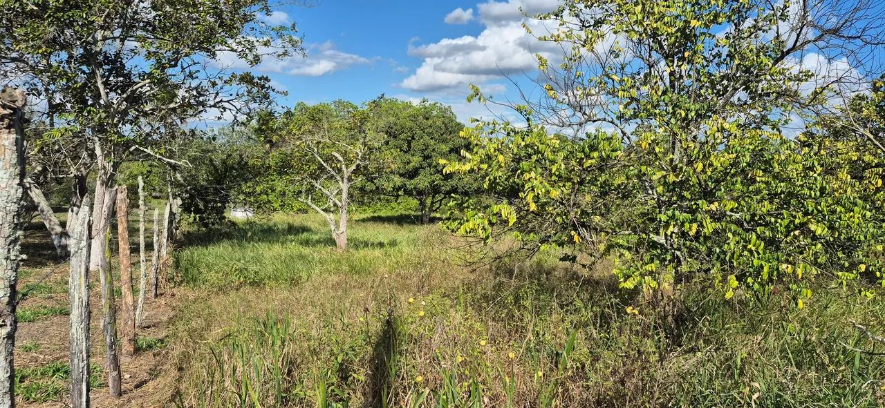 Lote a 4km da praça do Tomba - Foto 3