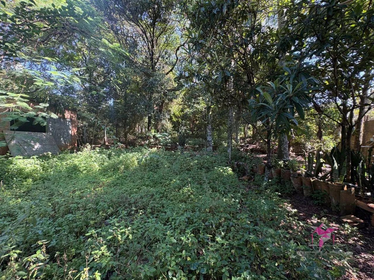 Chácara à venda - Ibicatú - Foto 4