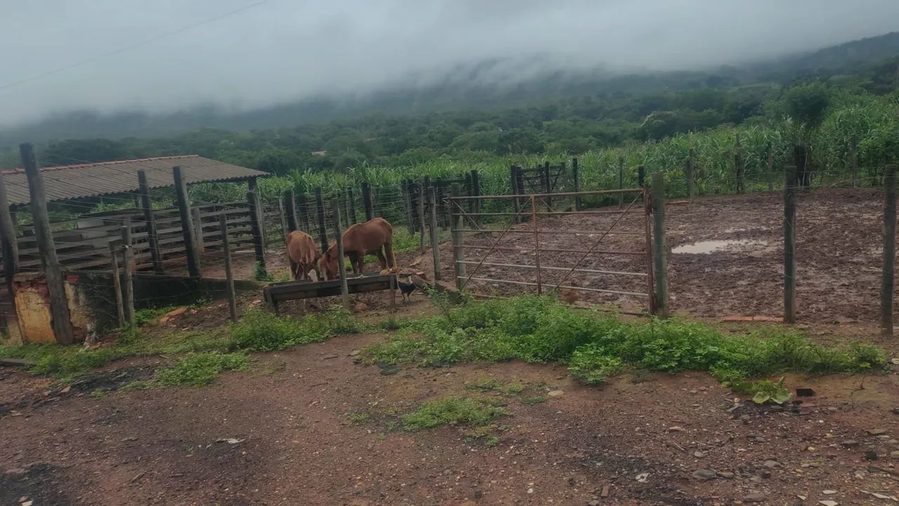 Foto - Montes Claros - Jardim São Geraldo