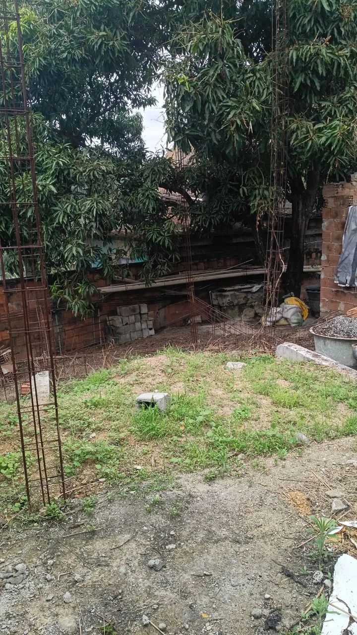 Vende se terreno eucalipto  - Foto 4