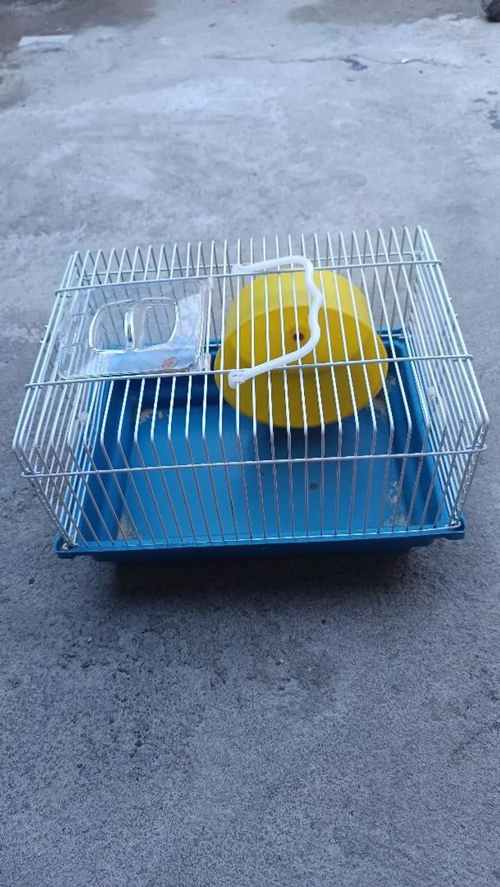Gaiola para hamster em Maceió 