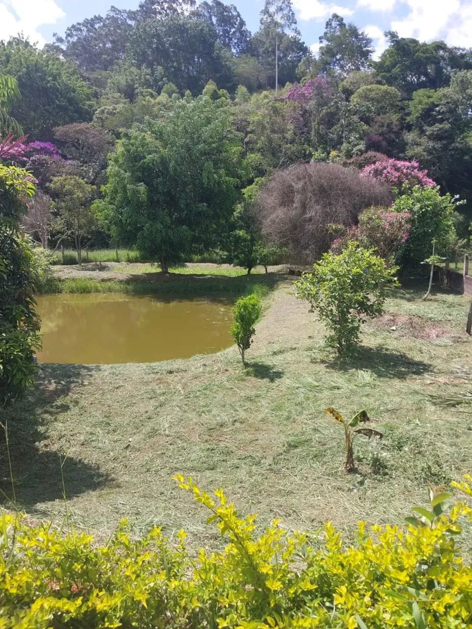 LINDO SÍTIO COM LAGO E RIACHO - Foto 2