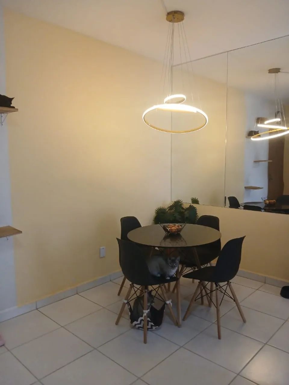 Apartamento - Luizote de Freitas - Foto 3