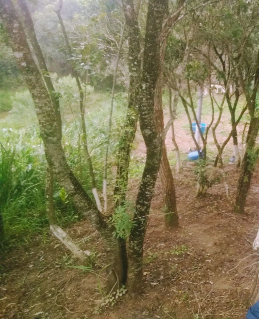 Vendo Terreno Bairro Cercado (Araçoiaba da Serra) - Foto 4