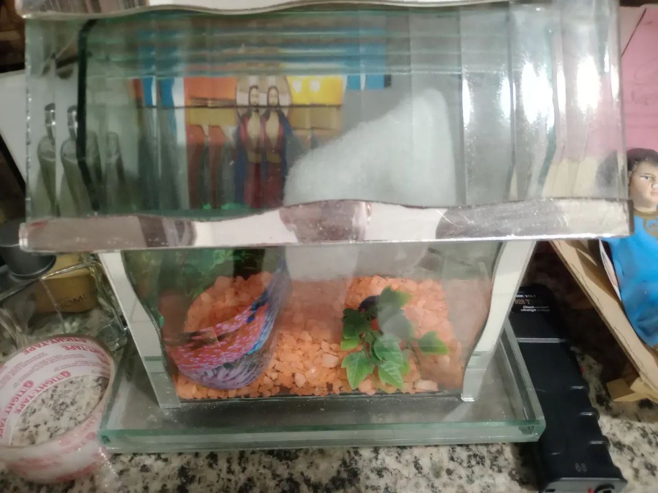 Aquário estilo casinha conservado só 30 reais ZAP *