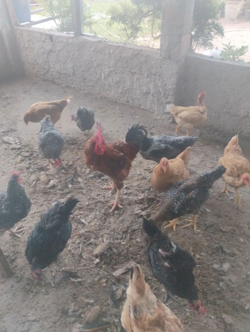 Ótima oportunidade.