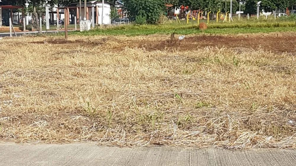 Terreno Comercial em Americana - Foto 3