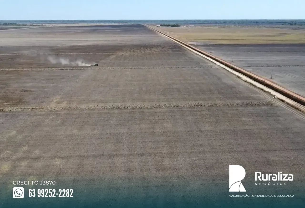 7.260 HA | 1.000 HA PARA ABERTURA | VÁRZEA E TERRA PRETA - Foto 3