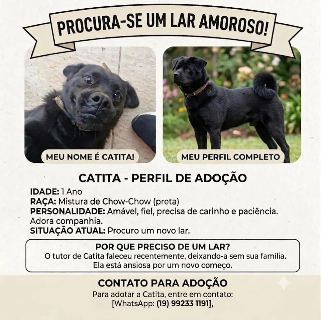 Doa-se cachorra