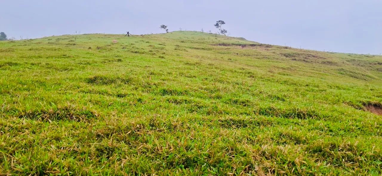 SÍTIO 16,8 ALQUEIRES EM CORUMBATAÍ 