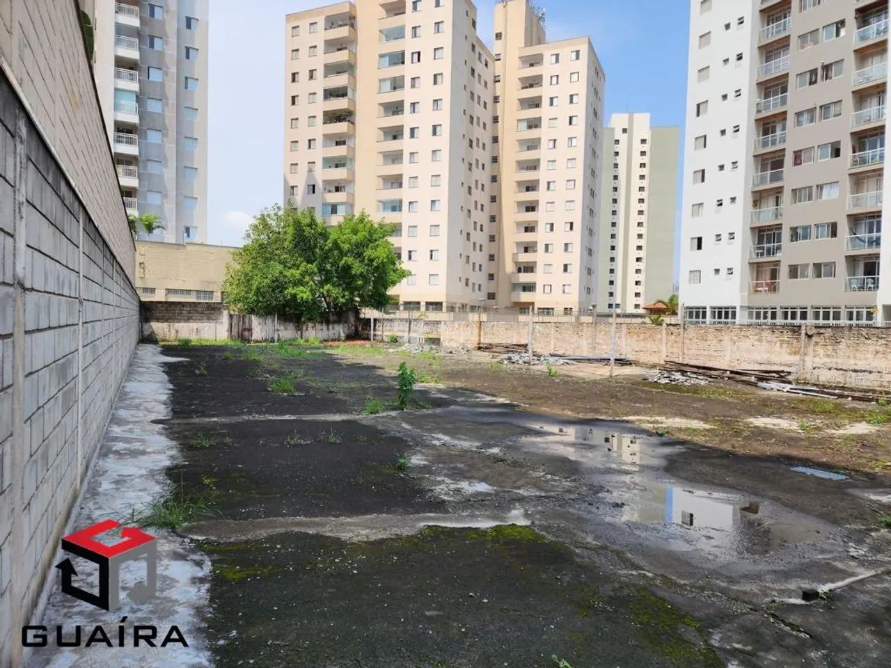 Terreno à venda Valparaíso - Santo André - SP - Foto 4