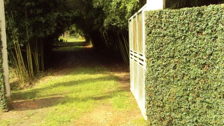 Sítio em Suzano SP - Foto 2