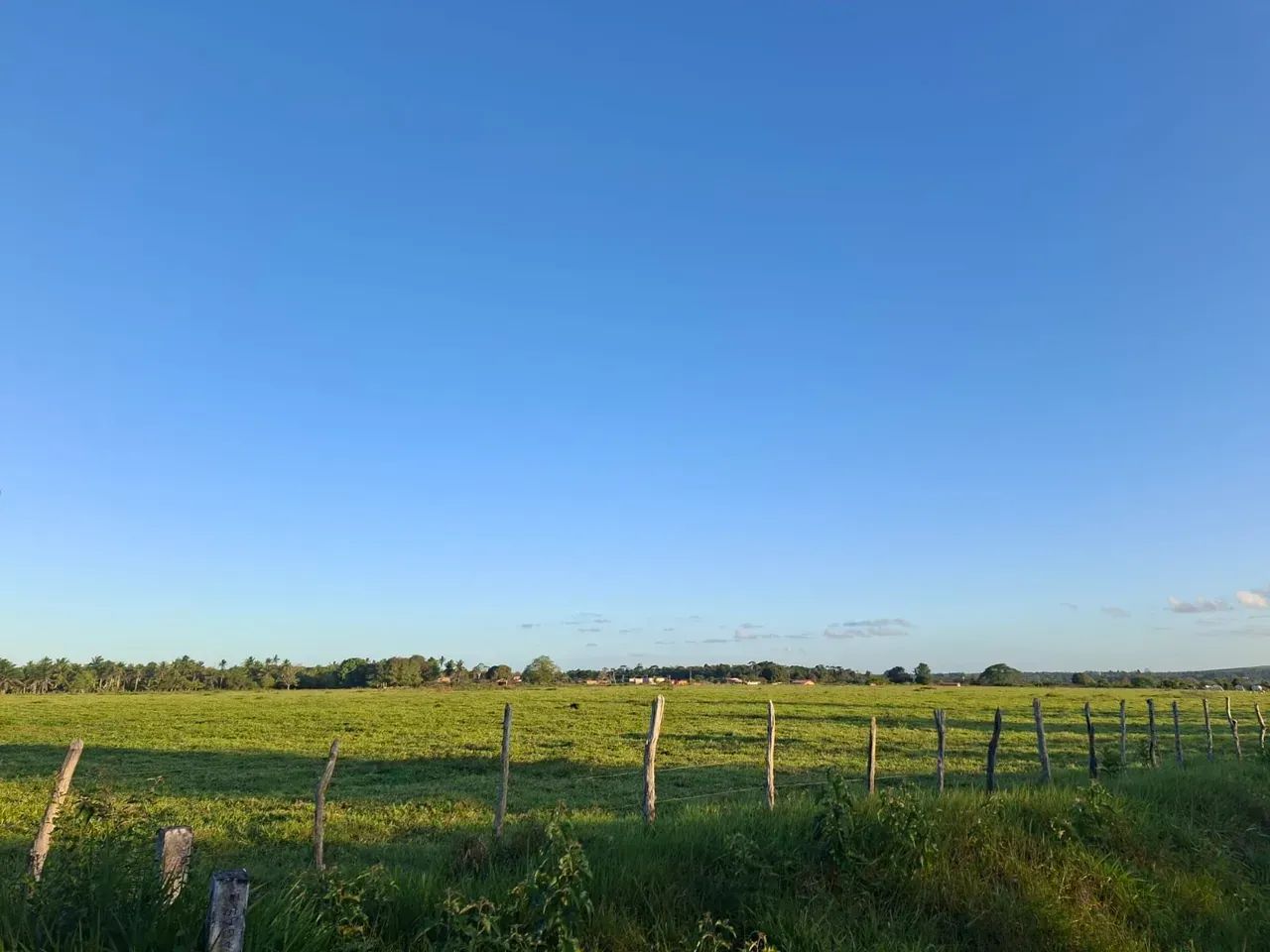 ÁREA DE TERRA, DISPONIVEL À 500M DA BR - 324 - Foto 5