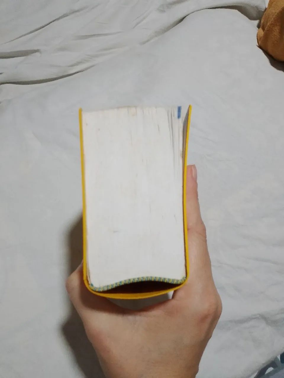 Dicionário de alemão português  - Foto 5