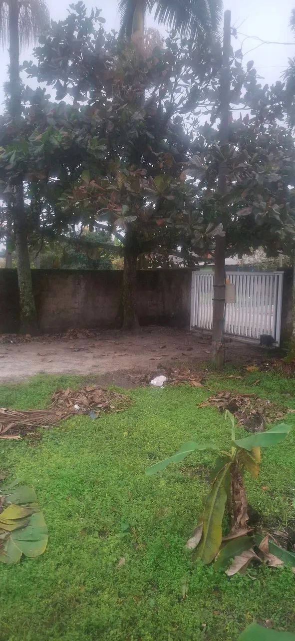 Terreno  - Foto 4