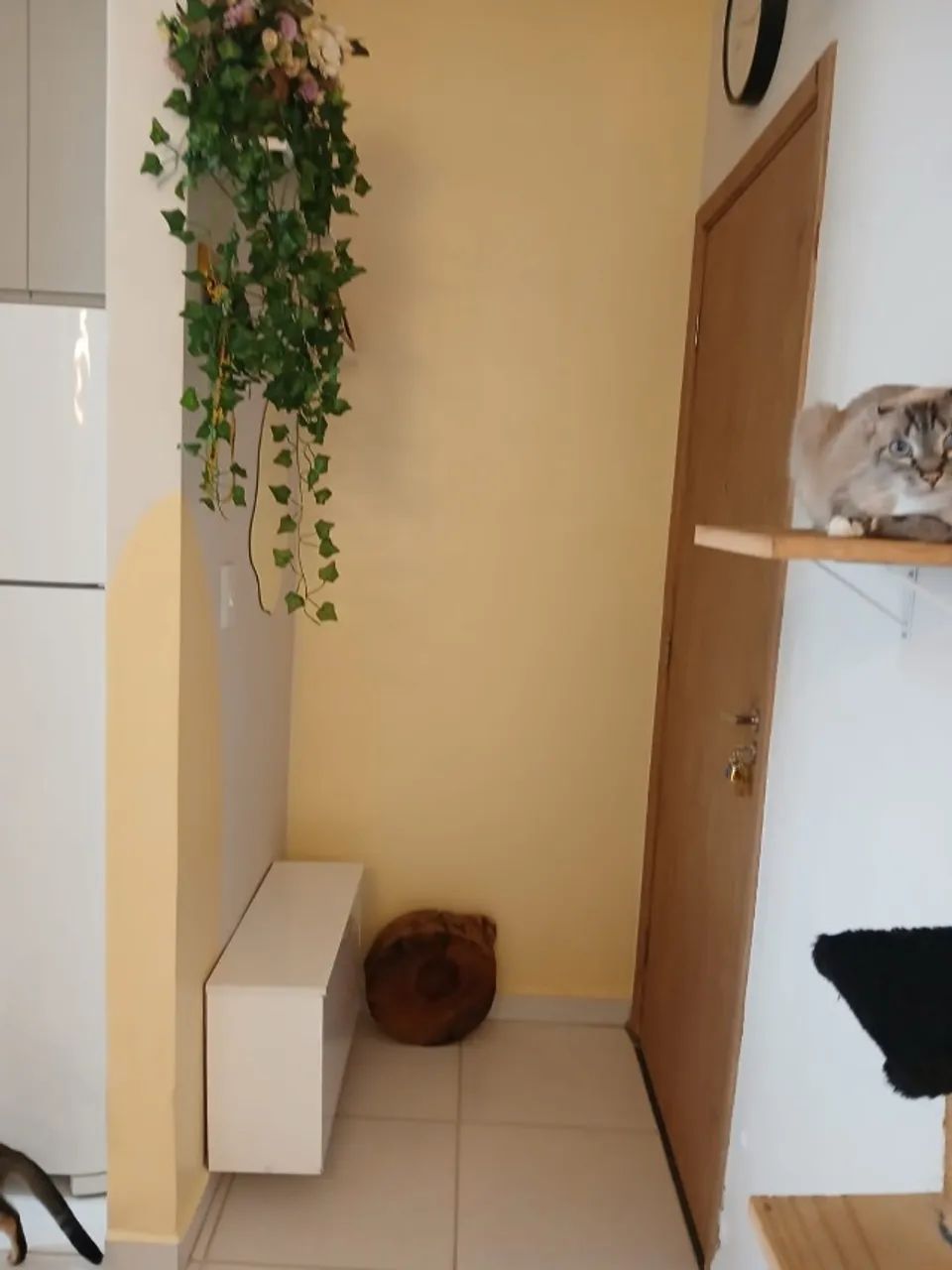 Apartamento - Luizote de Freitas - Foto 4