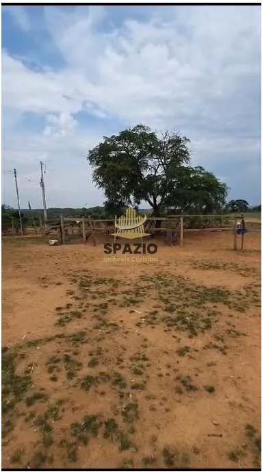 Fazenda, Centro, Rio Verde de Mato Grosso - R$ 5.5 mi, Cod: 105
