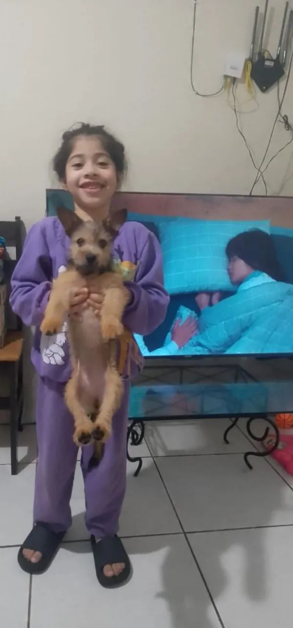 Animal - Foto 2