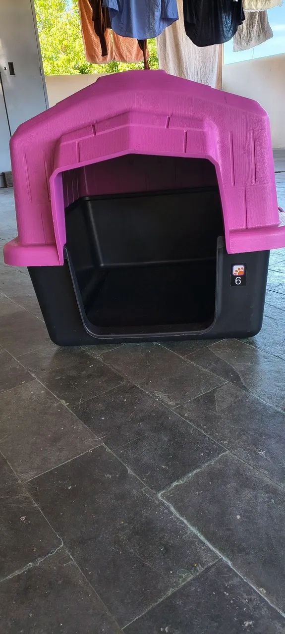 Kit de utensílios para cachorro