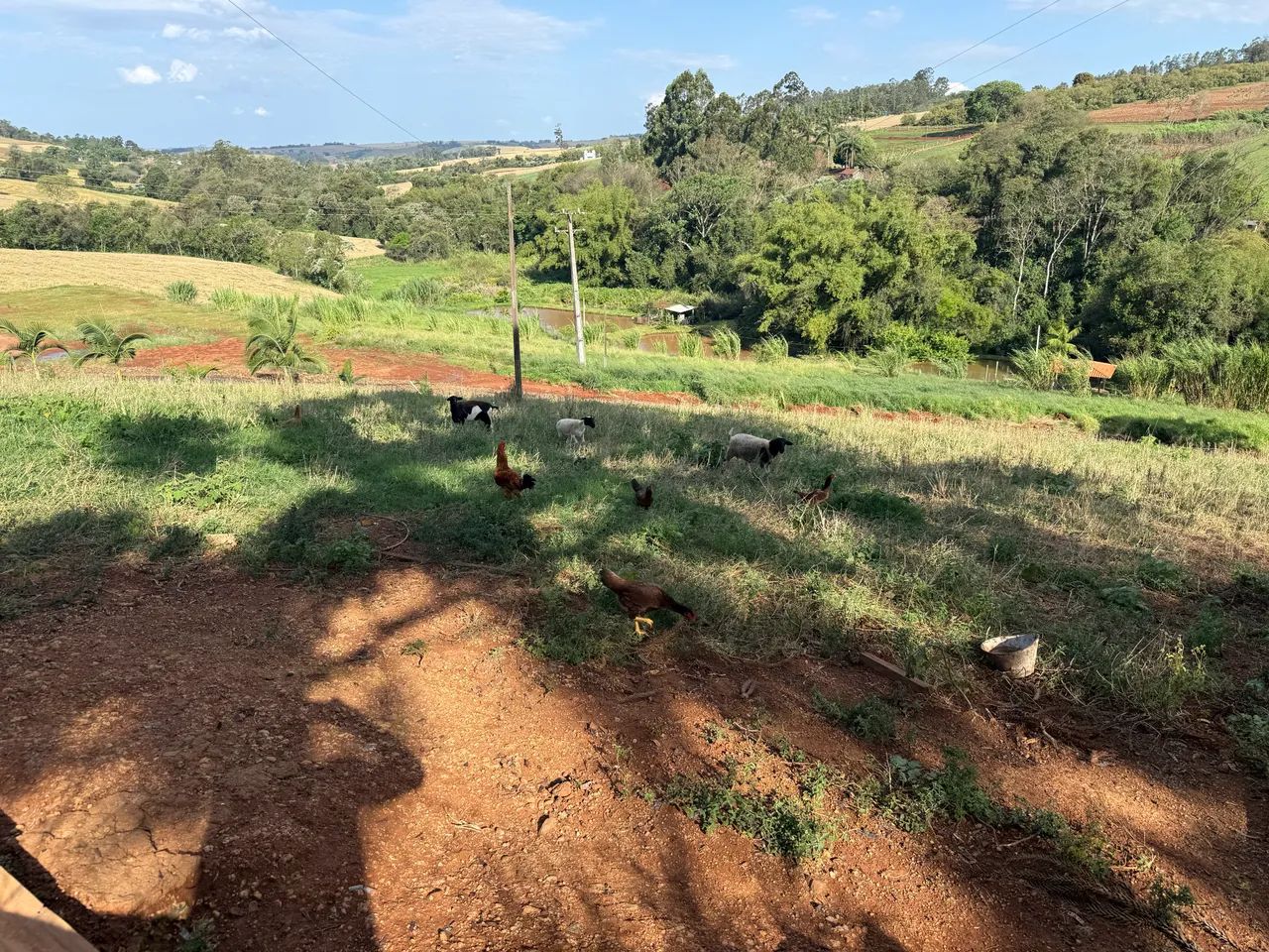 Chácara em Califórnia perto da cidade  - Foto 5