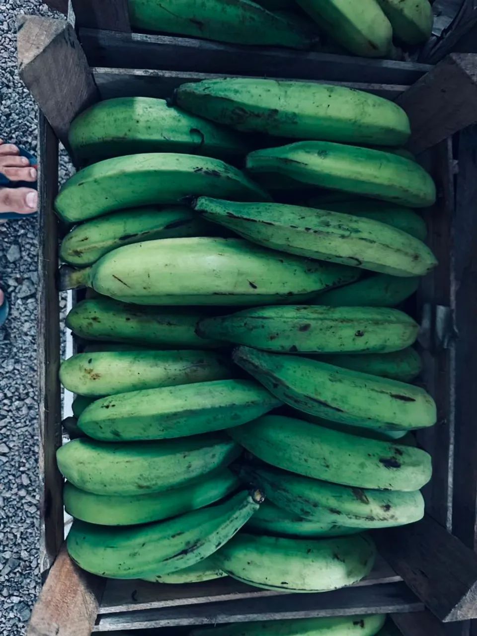 Banana comprida na caixa ZAP * - Foto 3