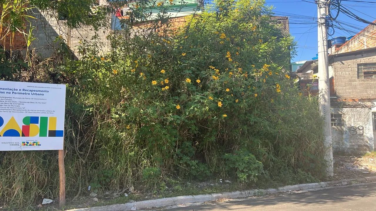 Terreno  - Foto 3