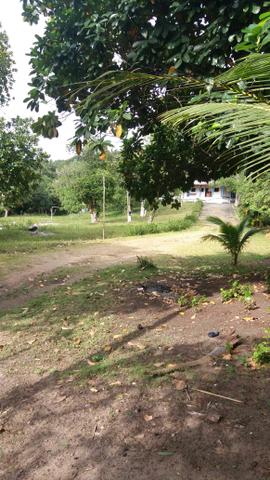 Granja para retiro/fds