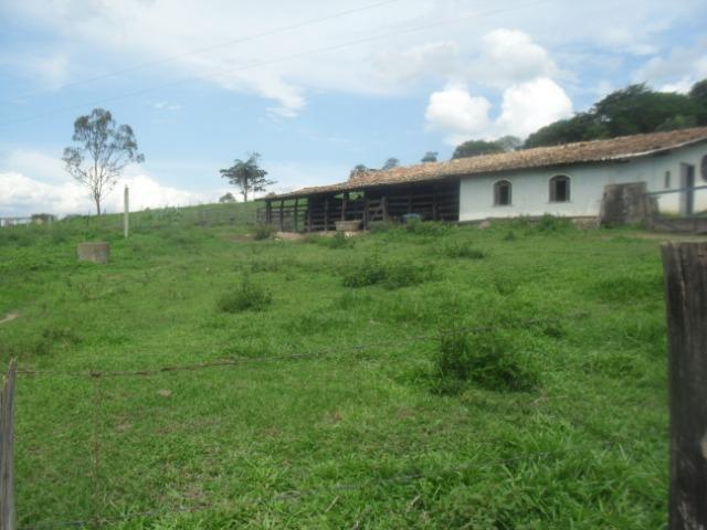 Fazenda com 22 hectares em Rio Manso - Foto 6