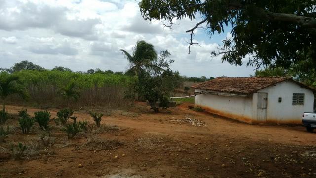 Ótima propriedade de 7.5 hectares, próximo a Lagoa de Itaenga-PE - Foto 2