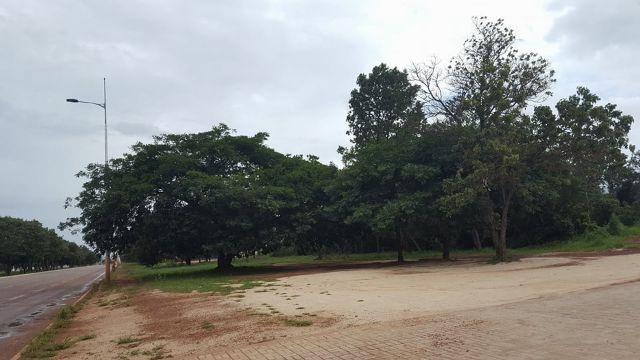 Lotes de 975 m² total de 2.925 m² na Av. Teôtonio, 802 Sul - Ao - Foto 6
