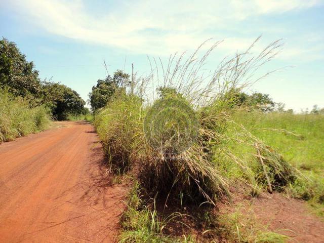 Fazenda 100 ha em acorizal - Foto 16