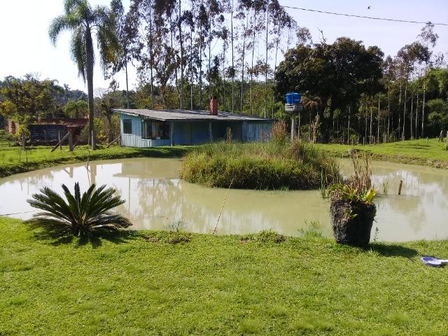 Chácara c/Terreno 6000m2 02 casas * 02 tanques c/ peixes Doc. ok - Foto 3
