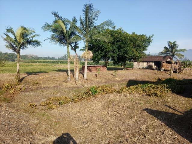 Alugo propriedade rural em pirabeiraba - Foto 8
