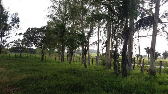 Fazenda na BR 135 - Foto 8