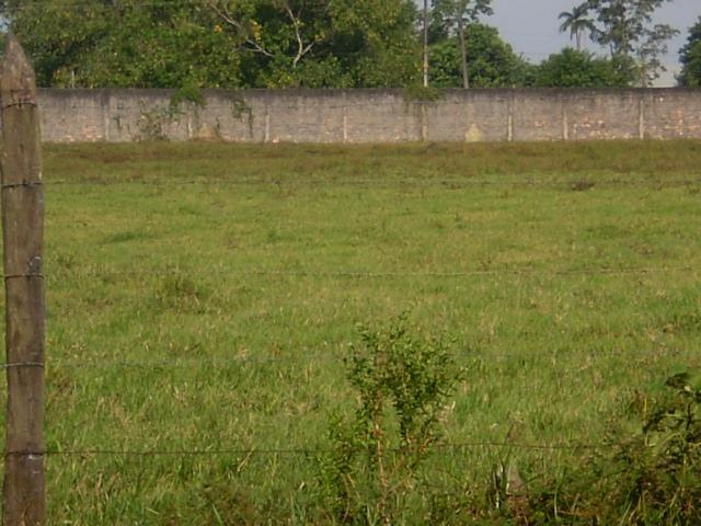 Área 32 Hectares na BR 316 Km 21 ao lado da Policia Rodoviária e Verbras - Foto 7